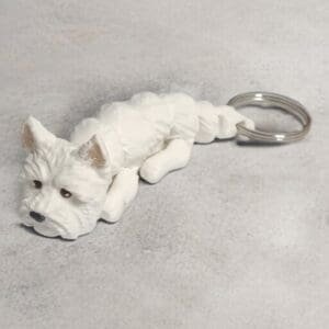 19ab8d06527f6cabc424a363d405ed99