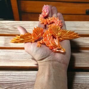 ed2f221a6a4fa90f3a3d2b78bcfb4270