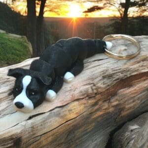 7715bcea83ad3becaad88490a2656fe6