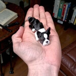 6a974fe03fb7e98a61d3732fff09d5a7