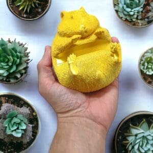 bebeee314600030264648ca60694c9ab