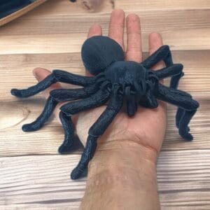 945901c65955c759374ba099f457067a