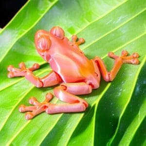 cdeda72dcd9b16651ffbea1aad59c584