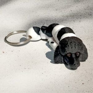 e01bc61314950595bfed2191d496a3fa