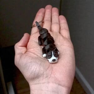 ae1b4719be9027ce9041fd80f22554f0