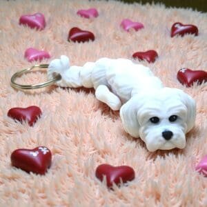 f31431c3f3f6836be4a919aae8047e77