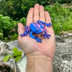 66bfbd631faa96496f685b81744ed73b