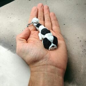 4b5e512c2656edc413edee49703f5a73