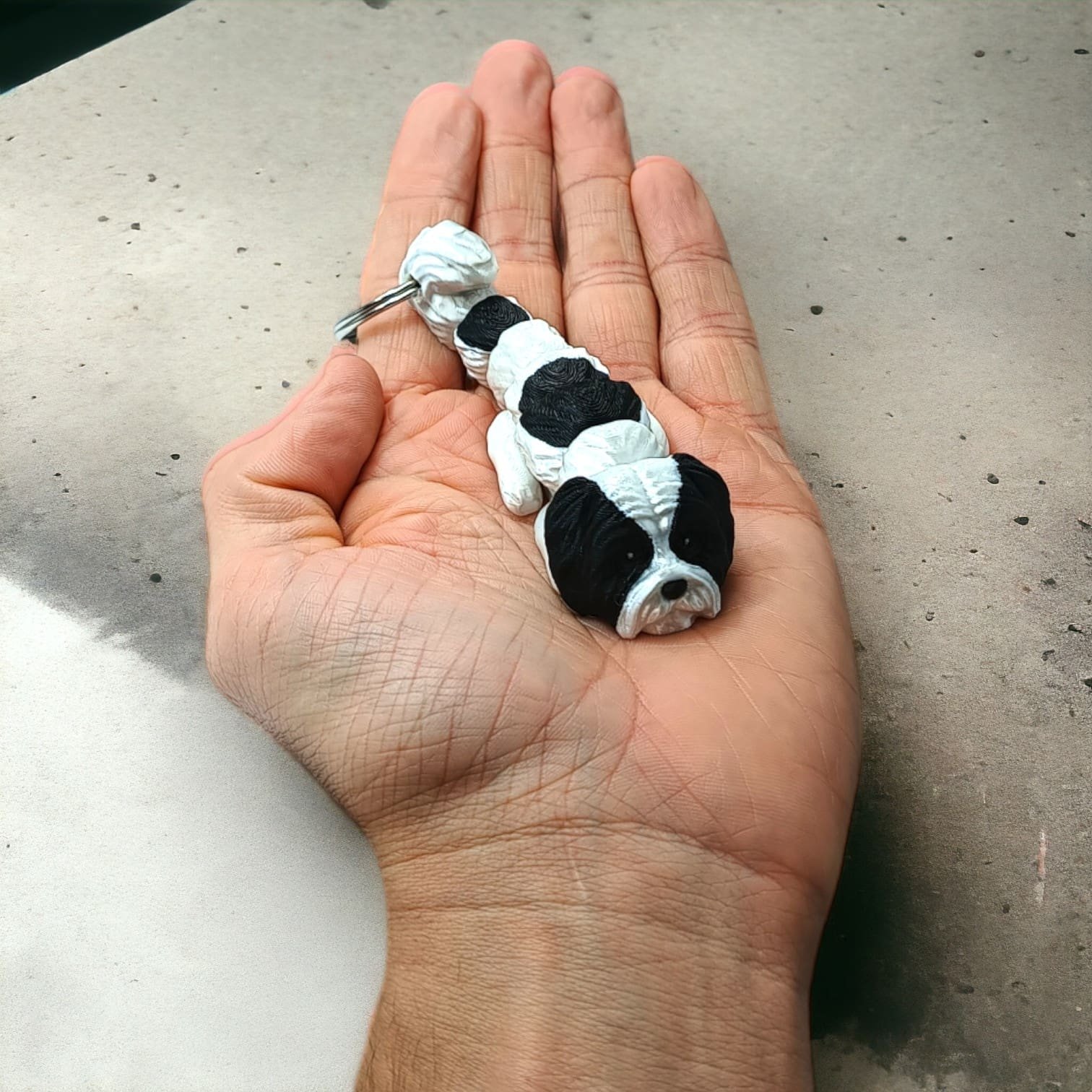 4b5e512c2656edc413edee49703f5a73