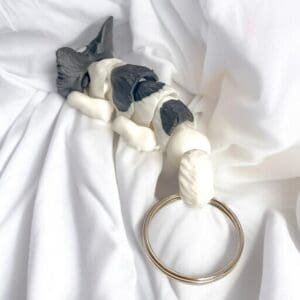 a817717cda7fc0af294f507e4baaf9fd