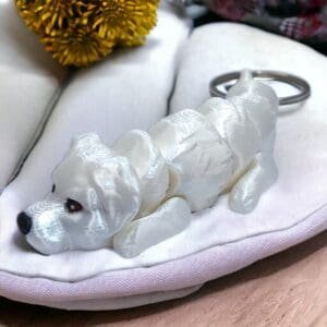 66ae557069d4bcd04135f063a828418b