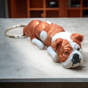 ad4f07436f5b78905606479da3379a46