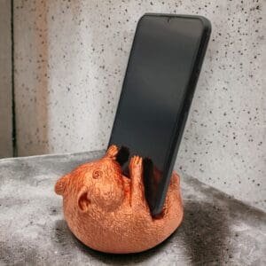 a05e2e4578e55413f37a453d434343dd