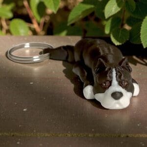 2968df604a946ba4ed9a6200f6d475c6