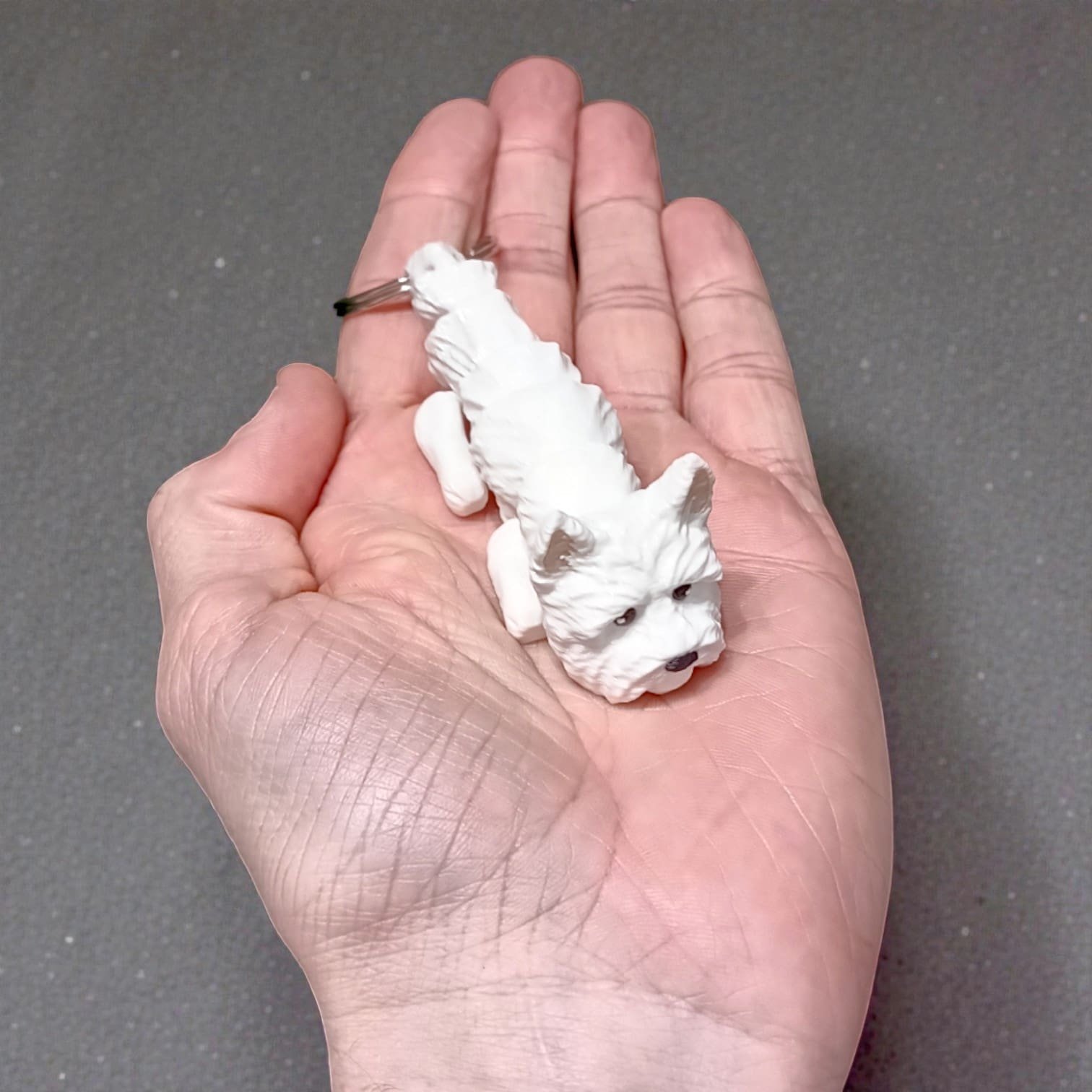 944b6a468b86081fcae4c50d1fe004d9