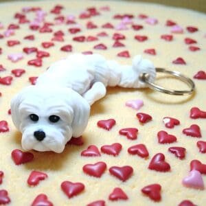 5c8559506b0c49accb036ac6fa316355