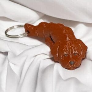 c56097a090a23779d2991ab874c1832a